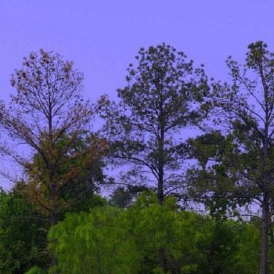 南宫28登录入口