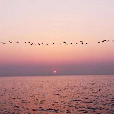 乐宝体育官网登录入口截图